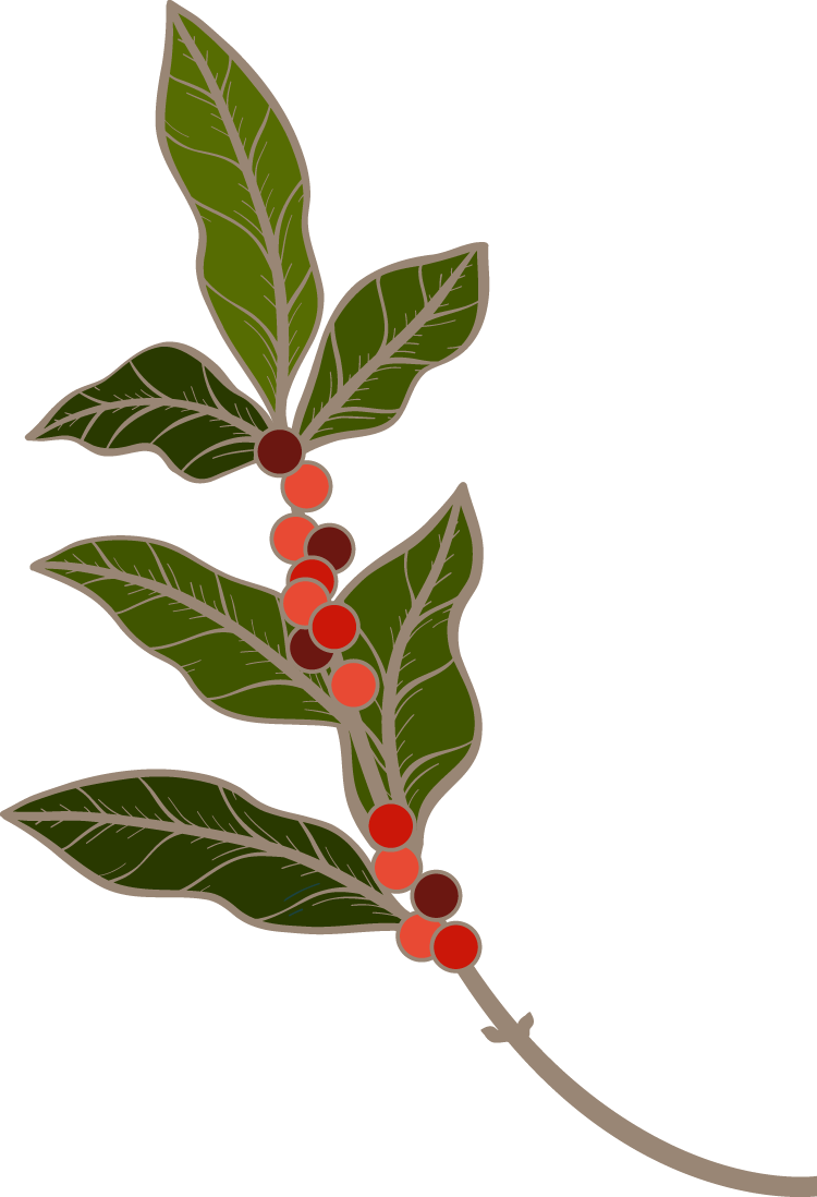 Coffee Illustration