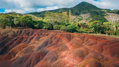 erre des Sept Couleurs à Chamarel, île Maurice, entourées d’une forêt verdoyante